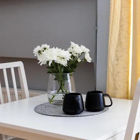 Appartement Ad Cozy Studio Near Bus Station, In The City Center, 3 Km From Airport Tallinn